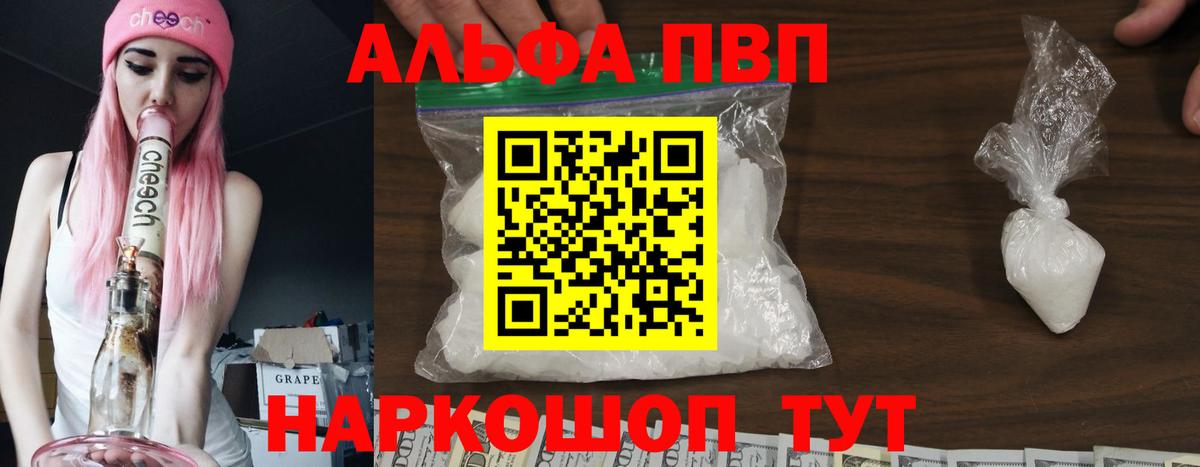 Альфа ПВП СК КРИС Нальчик