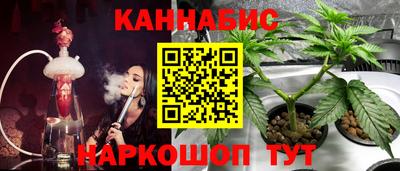 гидра Вышний Волочёк
