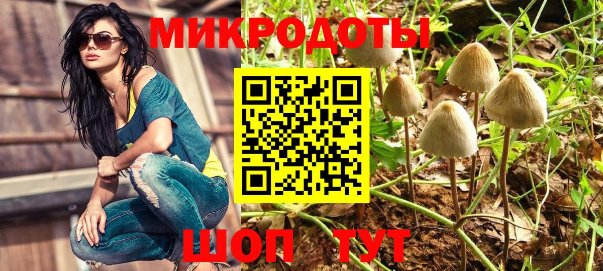 Псилоцибиновые грибы мухоморы  Вход с VPN  Нальчик 